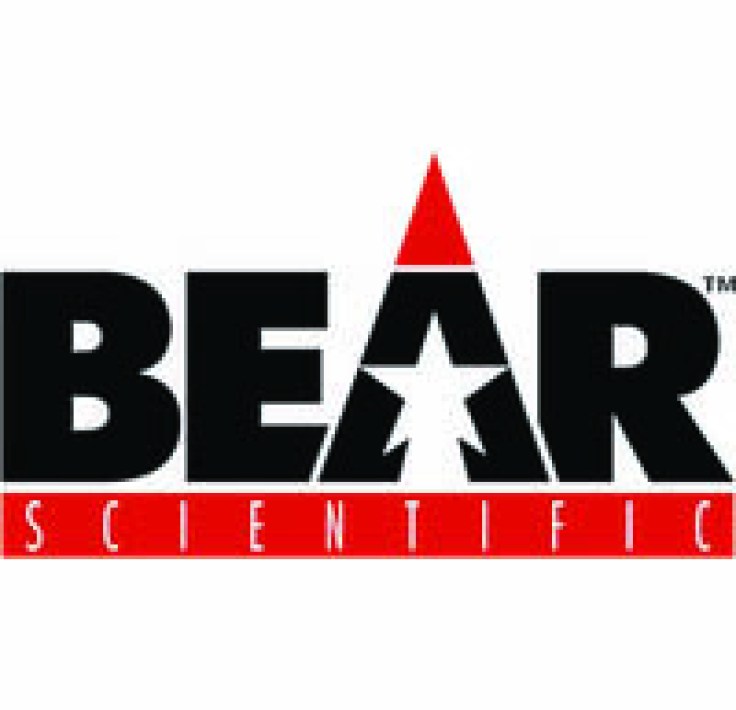 bear